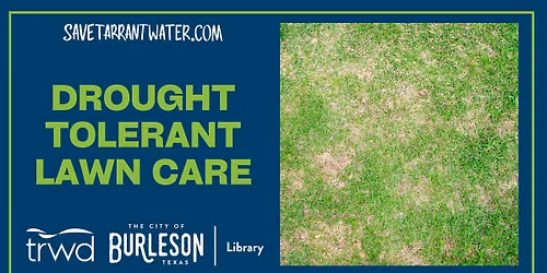 Drought Tolerant Lawn Care