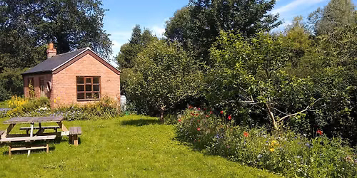 Tour around the Historic Edgbaston Guinea Allotment Gardens