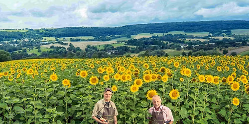 SONNENBLUMENTAG