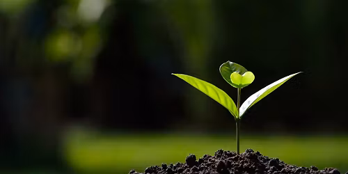 Film screening: People's Emergency Briefing