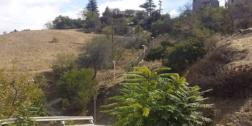 The Bigs - Climb the 12 Biggest SL Stairs 10 mi 3,019 up-steps