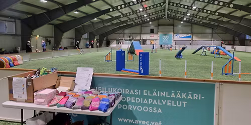 Koiviksen itsen\u00e4isyysp\u00e4iv\u00e4n agilitykisat