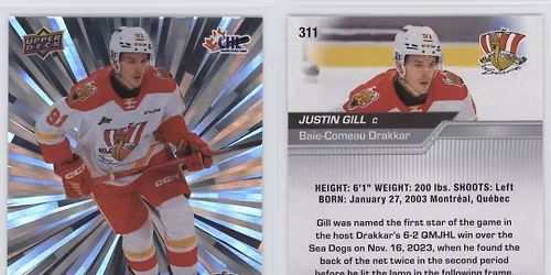 Baie-Comeau Drakkar at Saint John Sea Dogs at TD Station