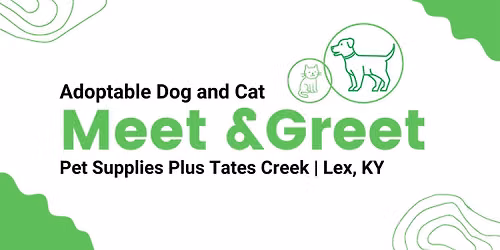 Saved By Fate Adoptable Meet & Greet