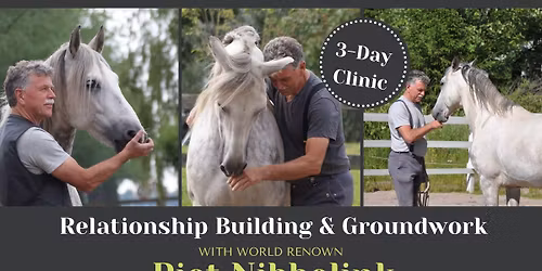 PIET NIBBELINK 3 DAY CLINIC 2026