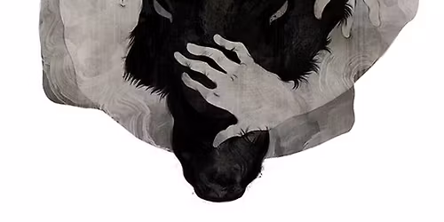 Ulvenes Hus - Spilgang 11