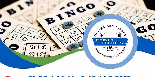 Feisty Felines\u2019 Bingo! 
