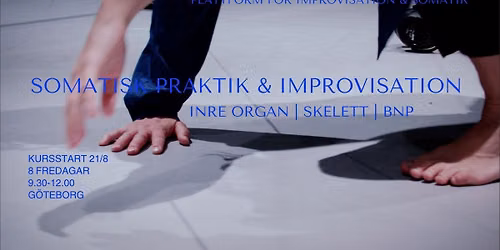 Somatisk praktik och improvisation \u2013 Inre organ, skelett & BNP*