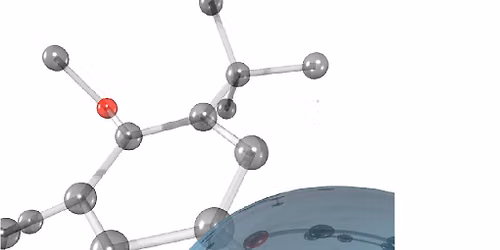 2026 Boston Symposium on Organic and Bioorganic Chemistry