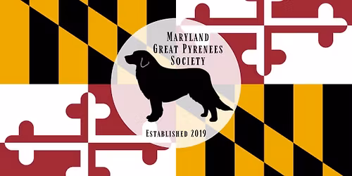 Great Pyrenees Meetup - Winter 2025