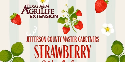 Strawberry Workshop