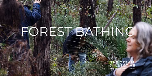 Forest Bathing Margaret River