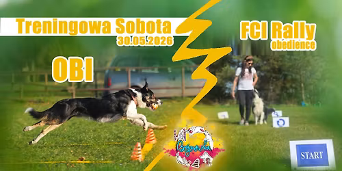 Treningowe torki FCI Rally Obedience i przebiegi OBI kl 0, 1, 2, 3