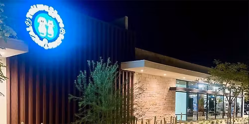 Palm Springs - Dog dental cleaning