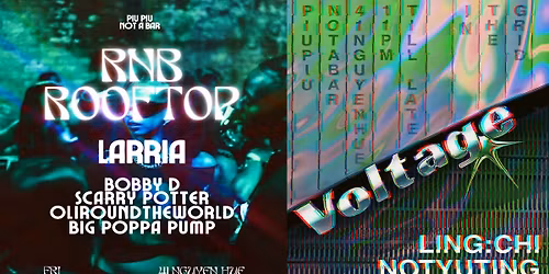 PIU PIU PRESENTS - RNB ROOFTOP WITH LARRIA X VOLTAGE 27\/02