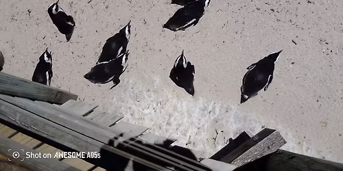 Playshops - space to play, explore, and enjoy. 