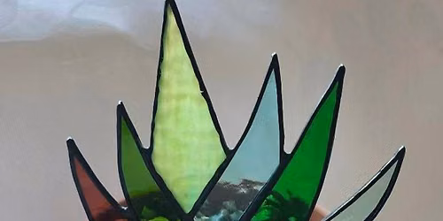 Stained Glass Aloe Plant
