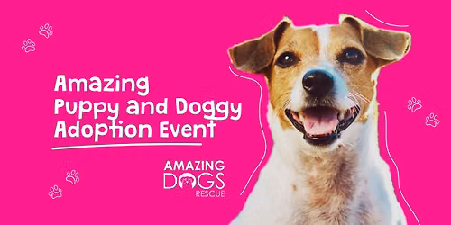 Amazing Dogs Rescue - Dog Adoption Event