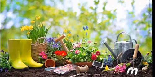 Free Plants Day - in Spring!
