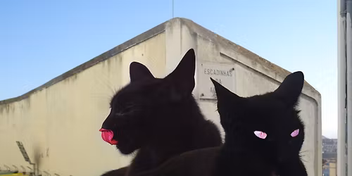 DIAMANT FOU le Film - Premi\u00e8re projection