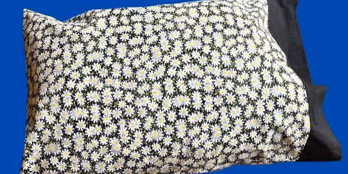 Beginning Sewing: Pillowcases