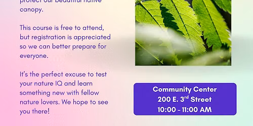 Leaf Logic Tree I.D.