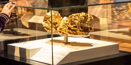 Melbourne Museum: Guided Highlights Tour