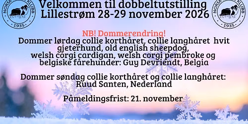 Dobbeltutstilling Lillestr\u00f8m