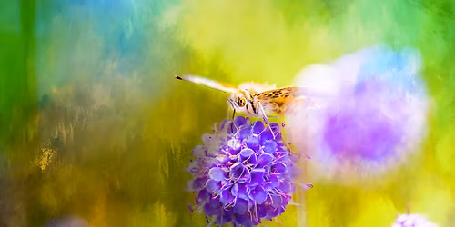 Celebrating Autumn Equinox & Nature\u2019s Abundance