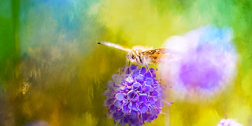 Celebrating Autumn Equinox & Nature\u2019s Abundance