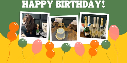 2 \u00e9ves a StarDogs! \u00dcnnepeljetek vel\u00fcnk! \ud83d\udc36