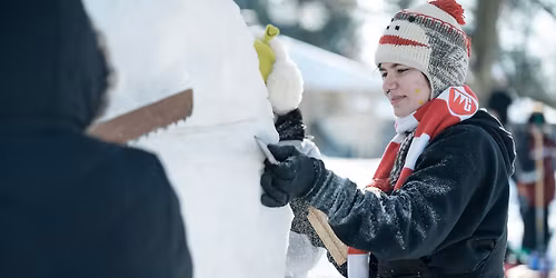 Illinois Snow Sculpting Competition