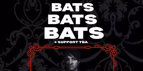 Bats Bats Bats at Bear's Bar! 