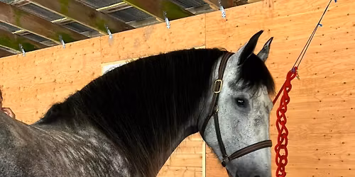 Hoof Grooming for Maintenance & Health Clinic - Courtenay BC - July 16-19, 2026
