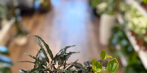 Foliage Bowl Workshop