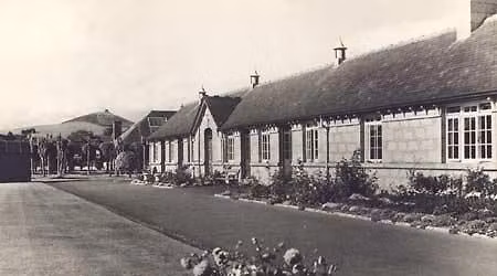 Strawberry Fair 2026