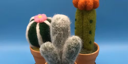 \u00a318 Needlefelt a mini cactus