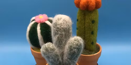 \u00a318 Needlefelt a mini cactus