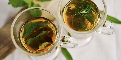 Wild Weeds & Gentle Tonics for Springtime Vitality