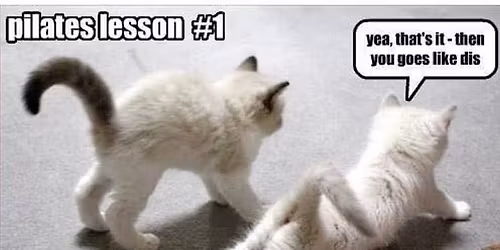 Pilates From Monday to Friday & Wellness 