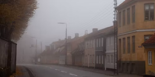 V\u00e6gtervandring - november p\u00e5 museet