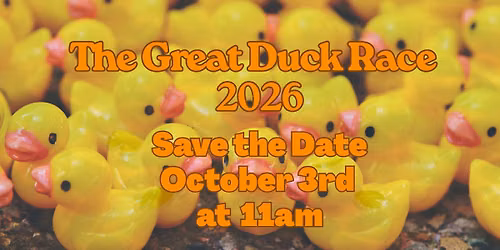The Great Duck Race