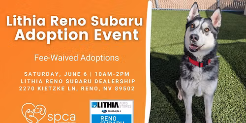 Lithia Reno Subaru's Fee-Waived Adoption Event