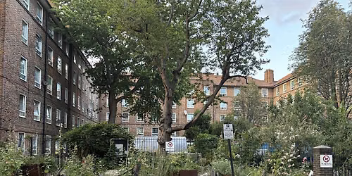 Tabard Gardens Community Allotment Volunteer Day