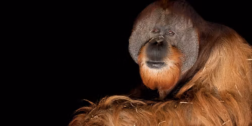 Joel Sartore