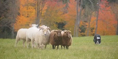 Int. Waldbauern-Trial 2025 Klasse 3