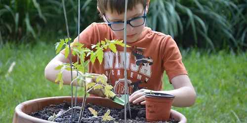 Dirty Diggers: Soil