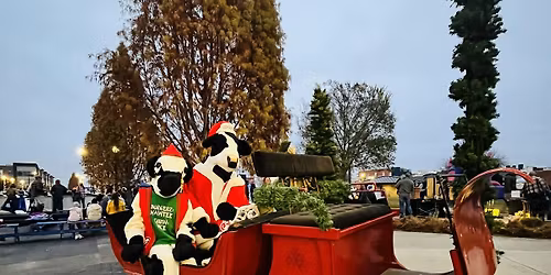 Breakfast with Santa cow