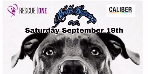 Dog days of Summer a Rescue One benefit Carshow