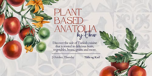 Plant Based Turkish Dinner